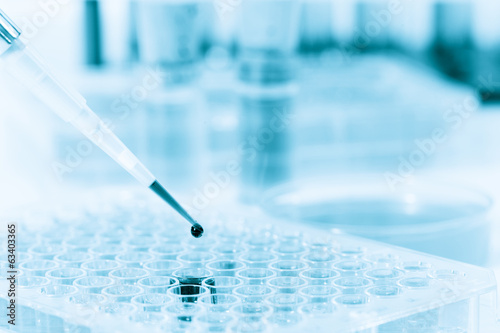 Bild auf Leinwand Microtubes and micropipet lab test