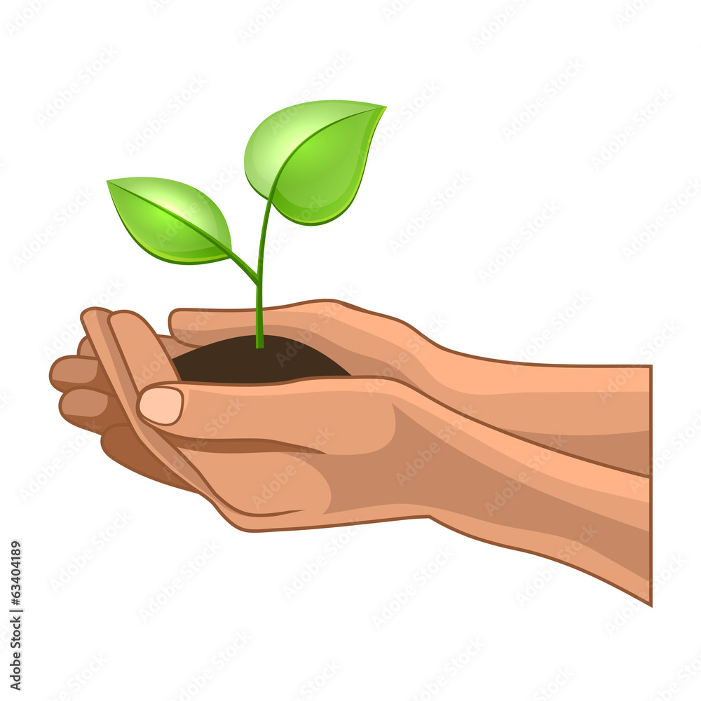 Hands and Plant on White Background. Vector Hands and Plant on White Background. Vector