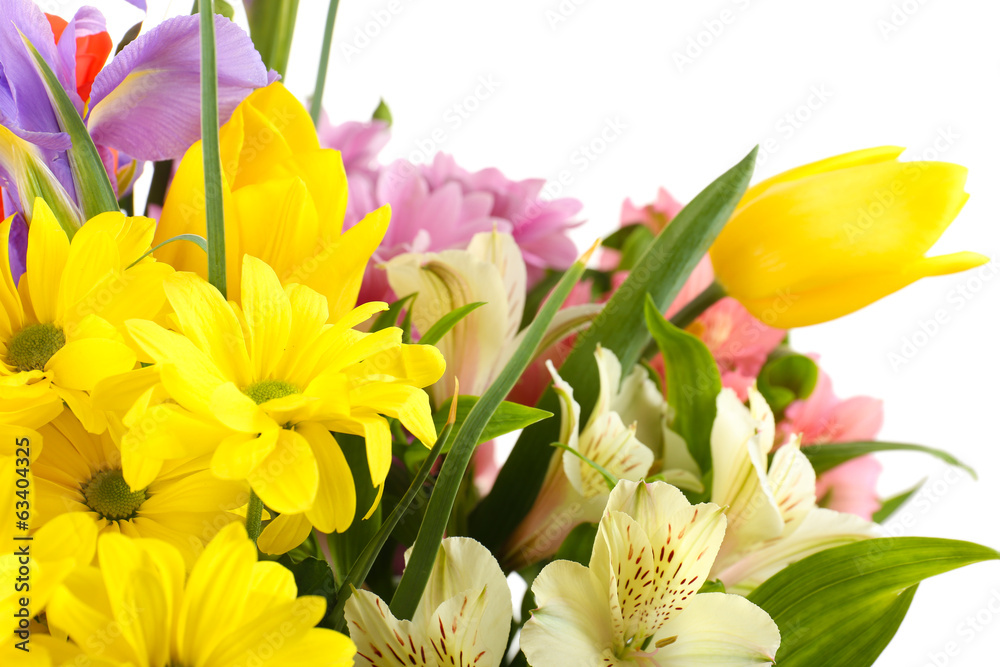 Beautiful flowers close up Beautiful flowers close up