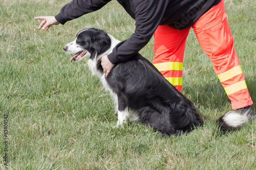 Rettungshunde-Ausbildung photo