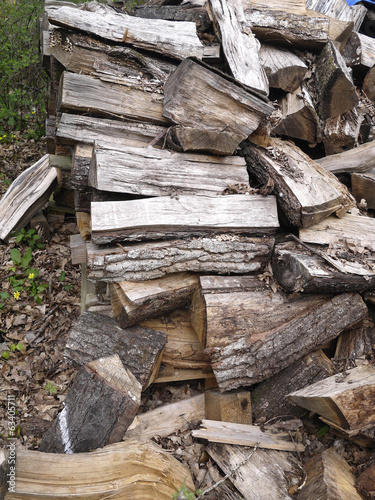 Fotografie bûches de bois