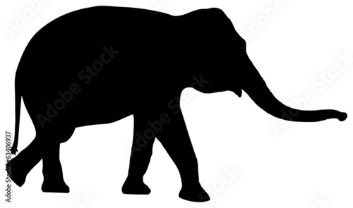 Canvas Print silhouette elephant