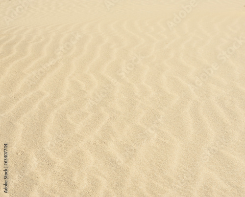 Sand ripples in a desert