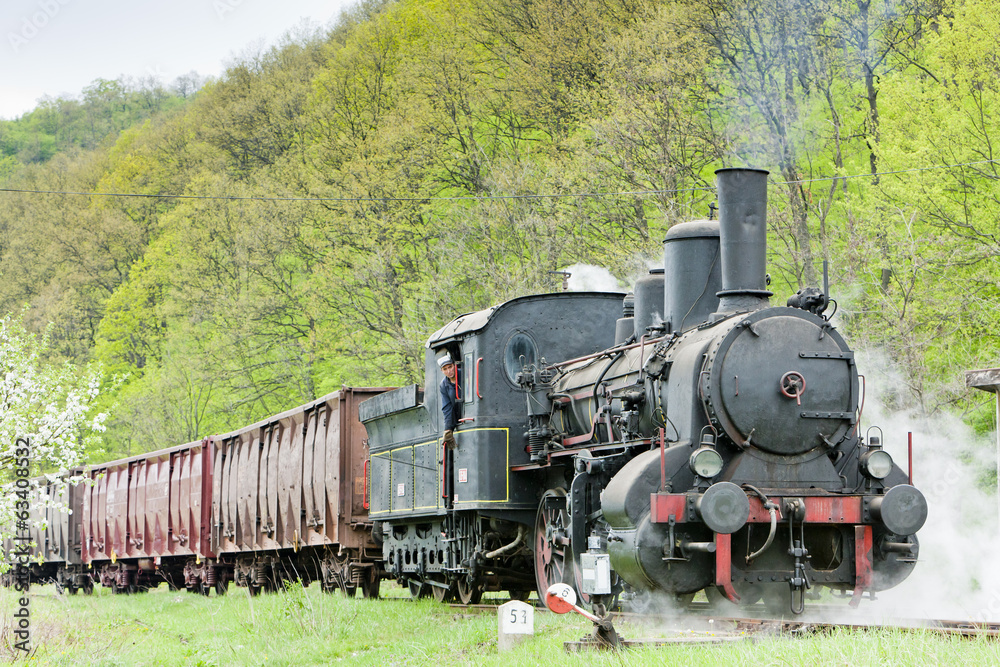 Obraz premium parowy pociąg towarowy (126.014), Resavica, Serbia