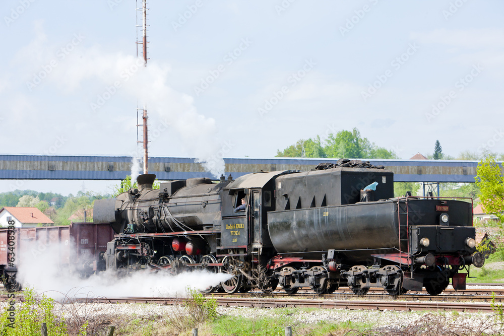 Obraz premium steam freight train in Tuzla region, Bosnia and Hercegovina