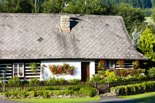 cottage with plants, Czech Republic #63408741