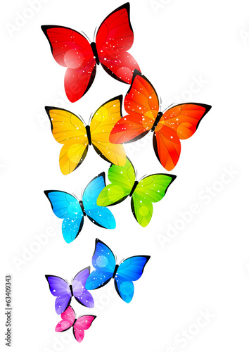 Rainbow butterflies for Your design