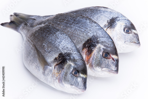 Fresh Dorado fishes photo