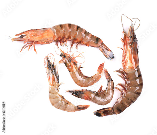 Five raw shrimps with different size. photo