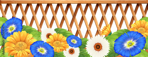 Colourful fresh flowers
