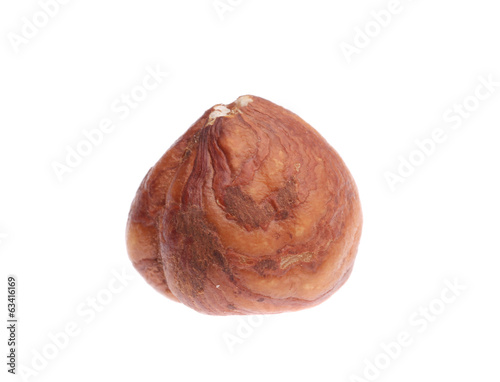 Chestnut.