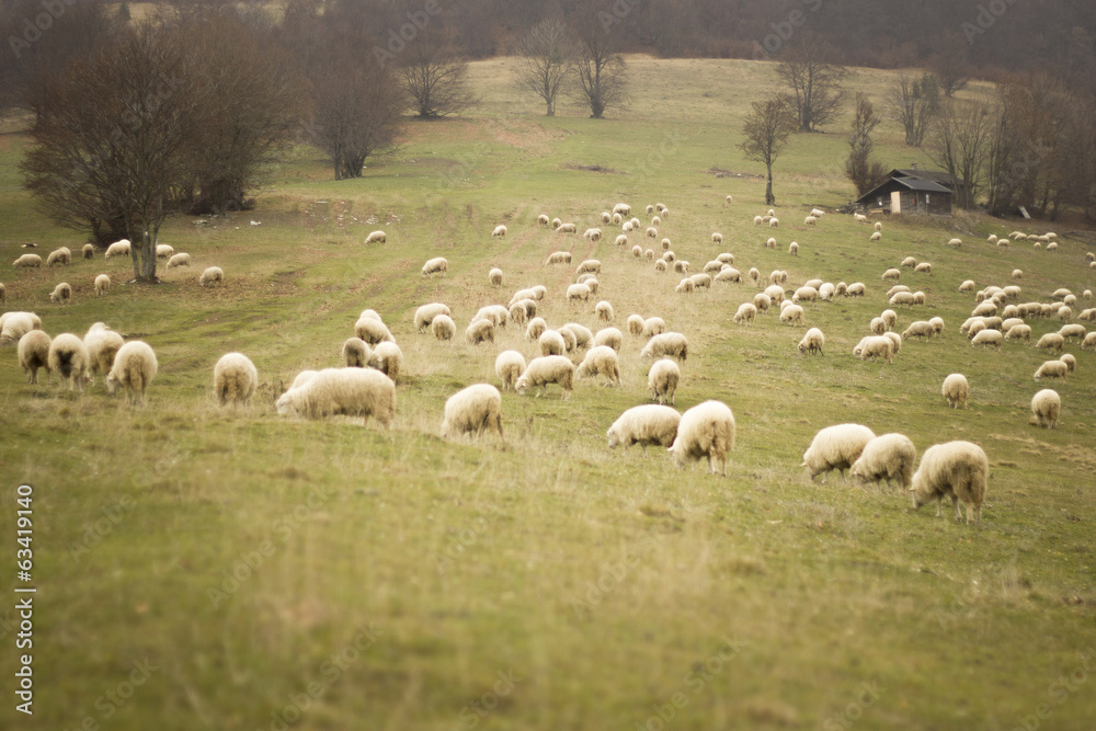 Naklejka premium Velka Fatra, Slovakia