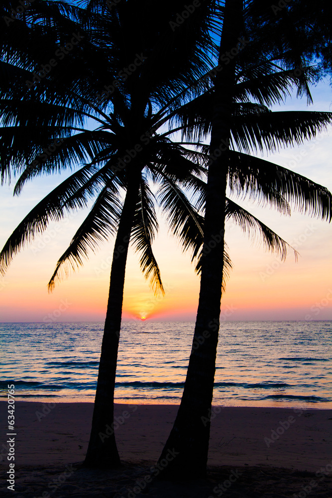 sunset and beach. view of a beach with palm trees