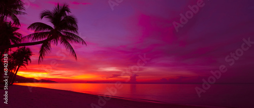 Fototapeta Naklejka Na Ścianę i Meble -  Tropical sunset with palm tree silhouette panorama
