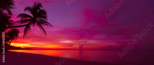 Obraz  z motywem Tropical sunset with palm tree silhouette panorama