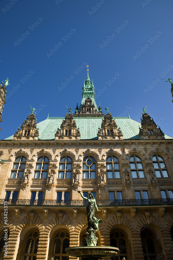 Naklejka premium Hamburger Rathaus