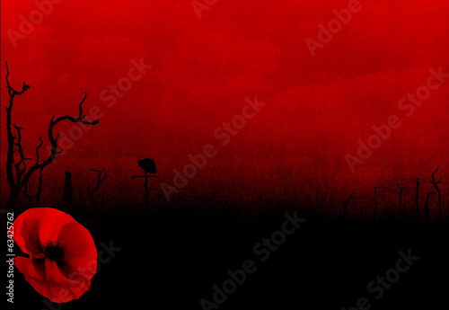 Photography WW1 First World War Abstract Background with Poppy