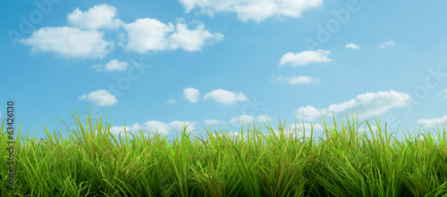 green grass and blue sky with clouds