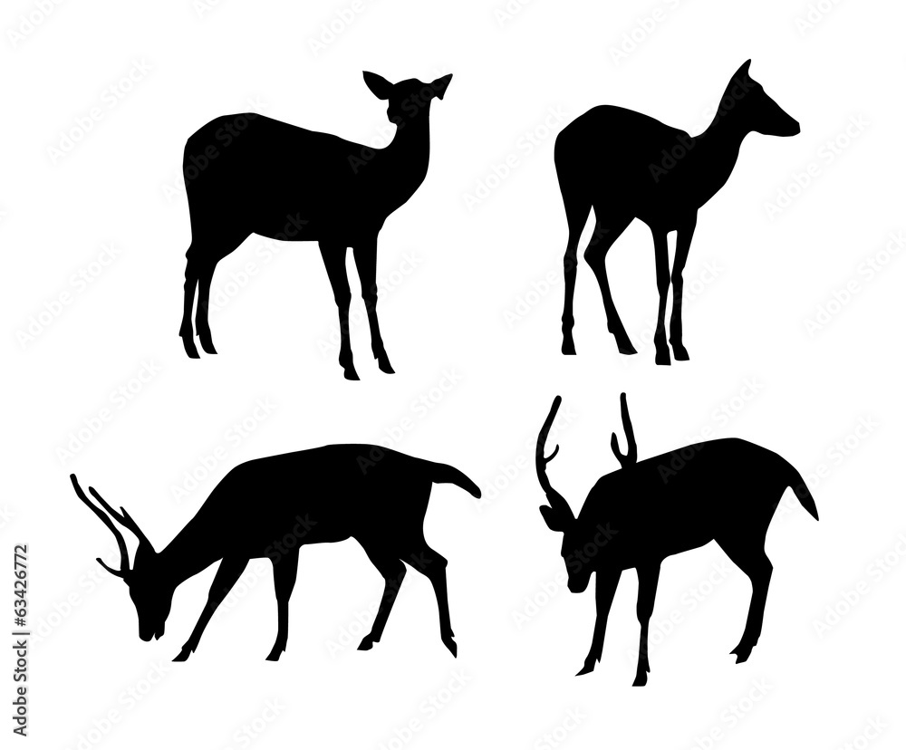 Fototapeta premium Deer-Vector