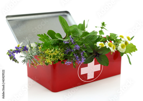 Fresh herbs in first aid kit.