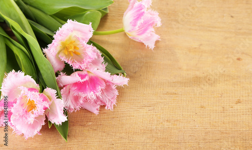 Beautiful tulips on wooden background