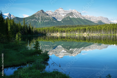 Herbert lake view