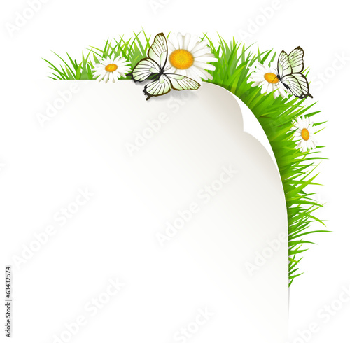 Papierecke mit Wiese und Schmetterlingen