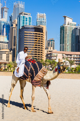 Camel on Jumeirah Beach in Duba