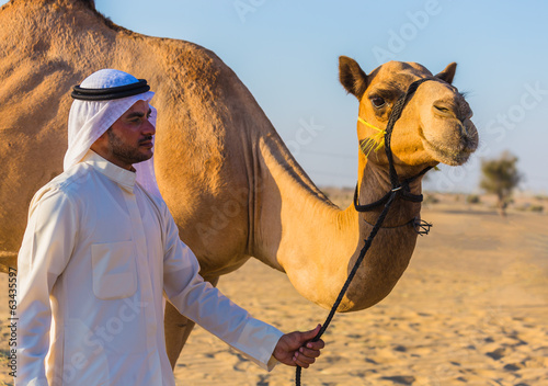 Fotografia Desert landscape with camel