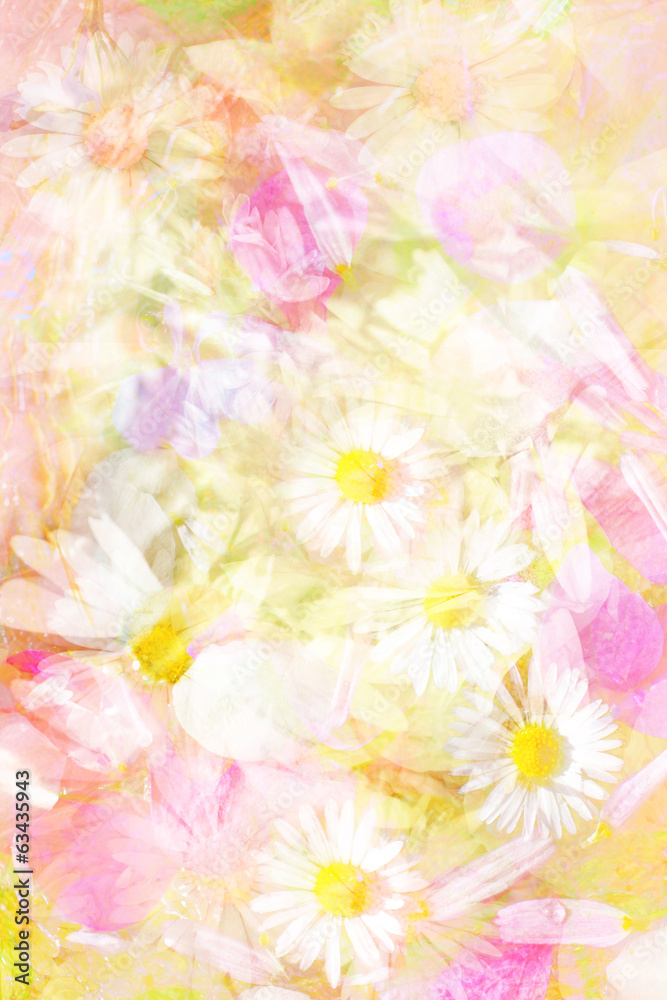 Pretty daisies artistic background
