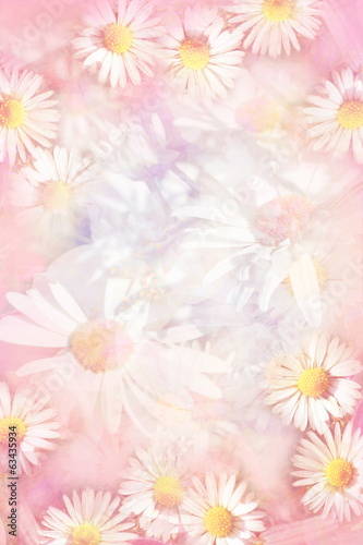Pretty daisies grungy background