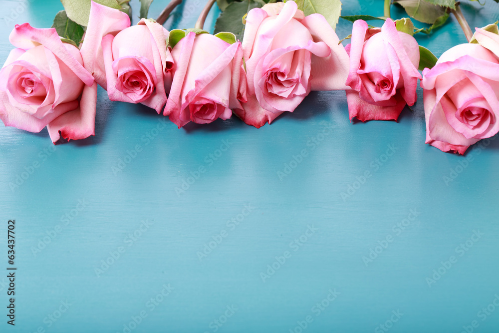 Pink roses on turquoise blue wooden board - obrazy, fototapety, plakaty 