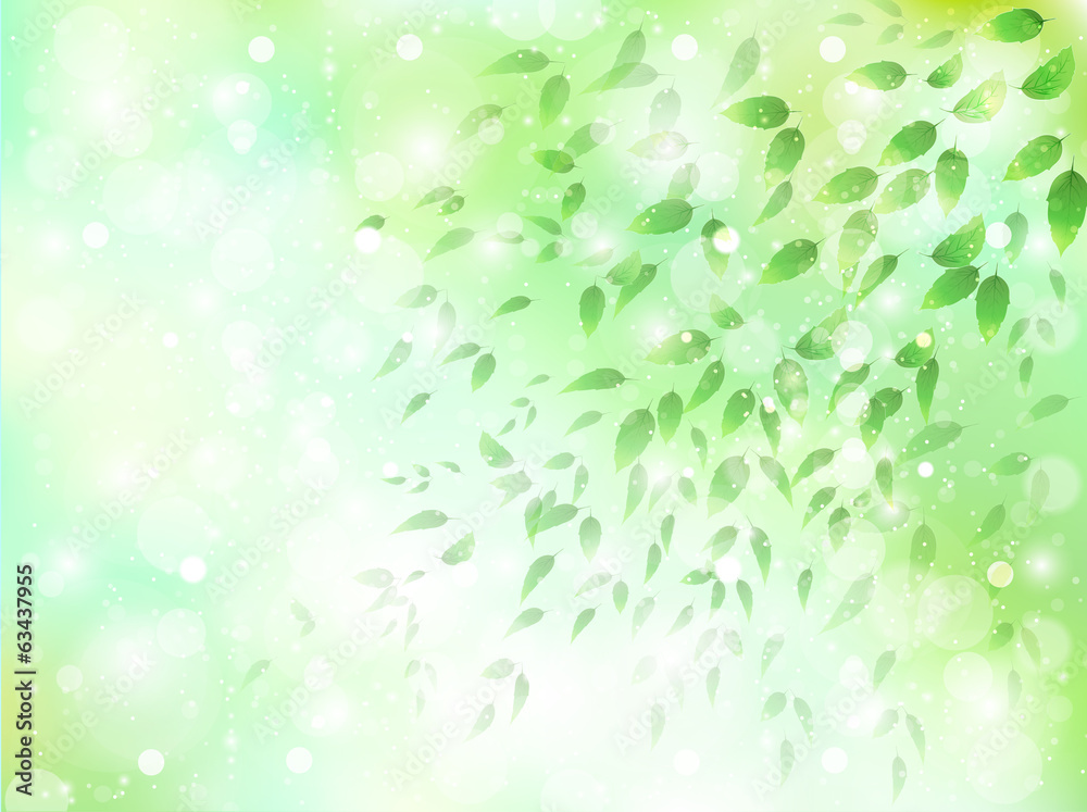 Fototapeta premium 空 葉 風景