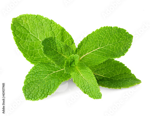 Fresh mint  isolated on white