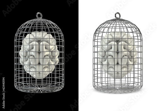 Photos Cage brain