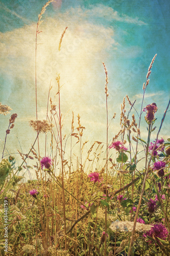 Fototapeta Naklejka Na Ścianę i Meble -  Retro summer flowers