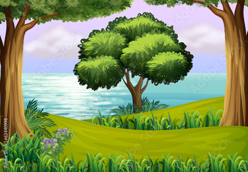 Hills with trees near the river