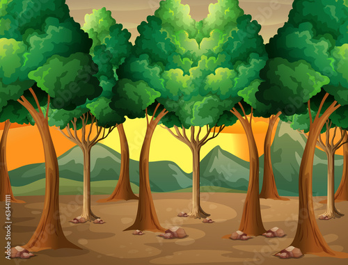 Trees at the forest