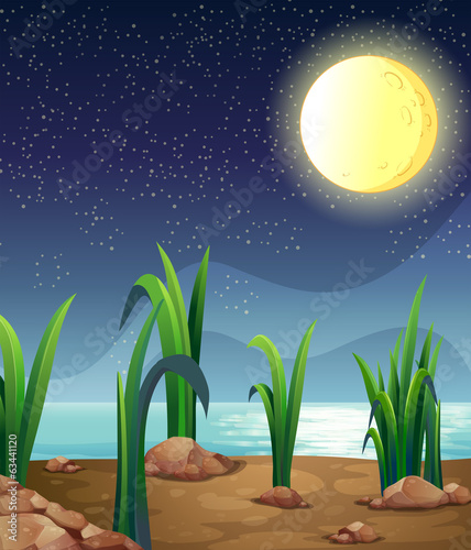 A bright fullmoon