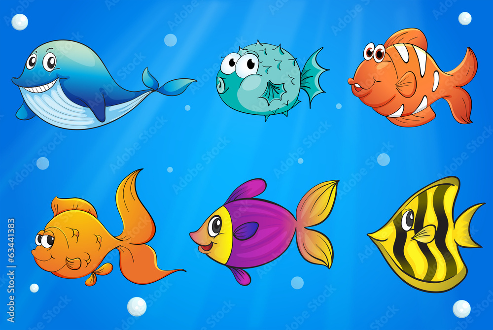 Different kinds of fishes under the ocean Different kinds of fishes under the ocean