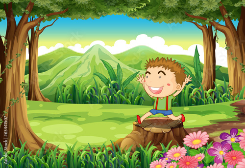 A stump at the woods with a cute little boy