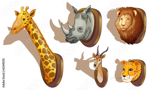 Stuffed animal heads
