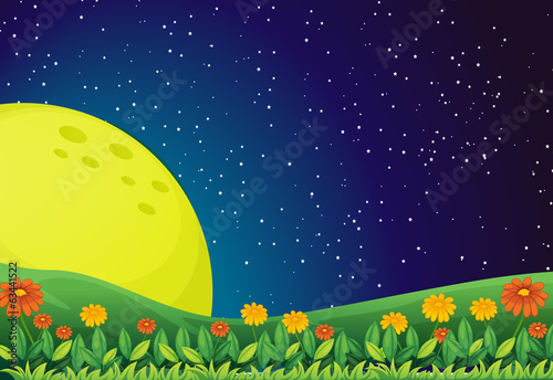 The bright moon and the sparkling sky