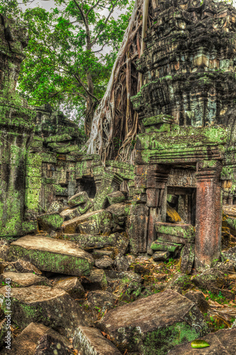 Ancient ruins and tree roots  Ta Prohm temple  Angkor  Cambodia