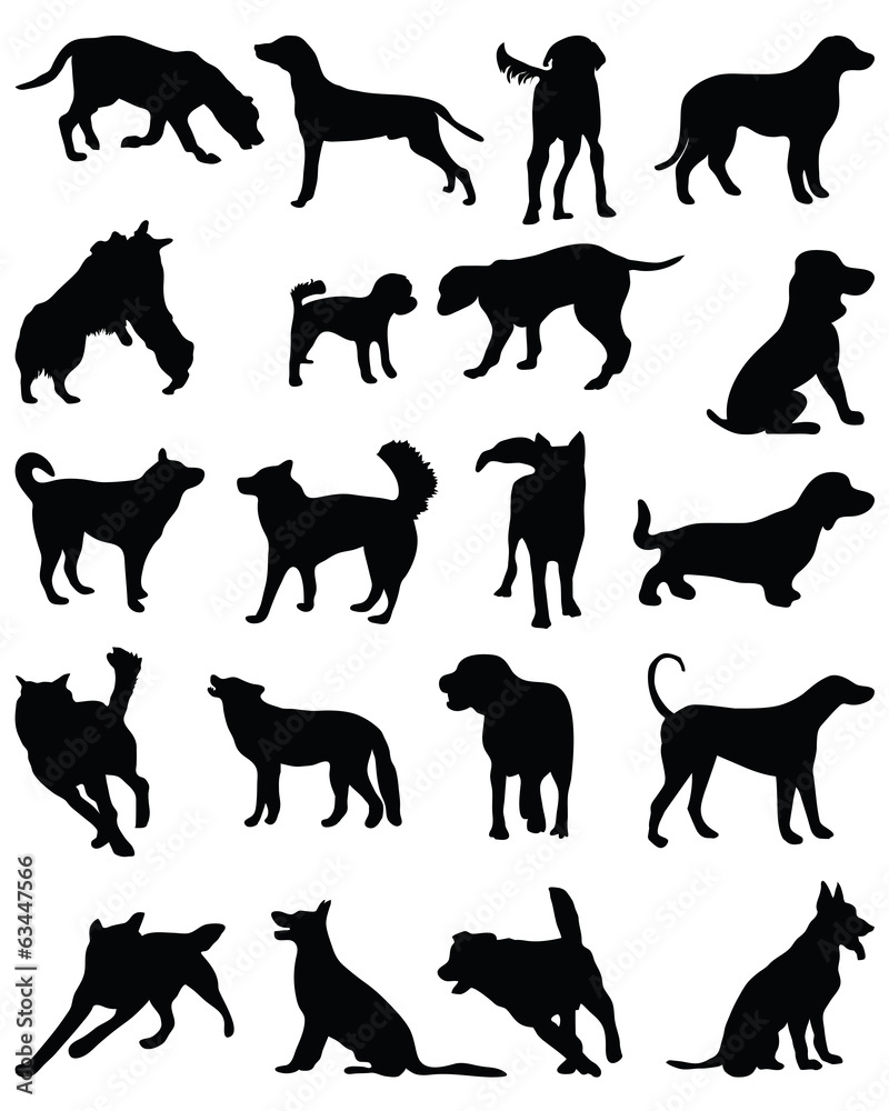 Black silhouettes of dog breeds, vector