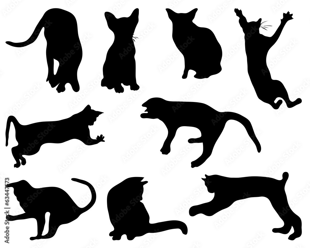 Black silhouettes of cats, vector