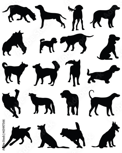 Black silhouettes of dog breeds  vector