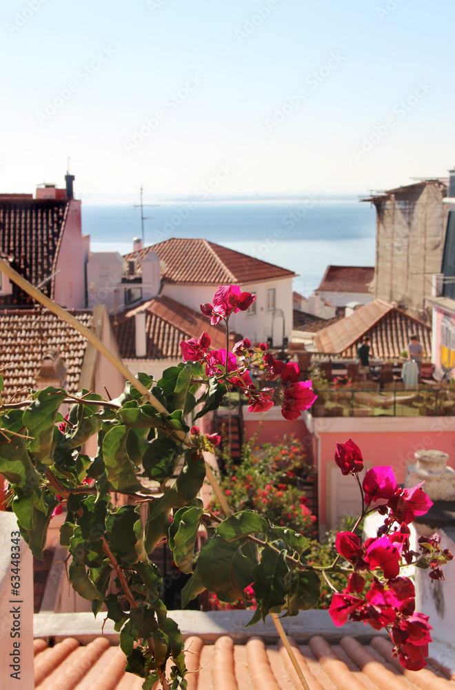 Beautiful Mediterranean terrace with flowers