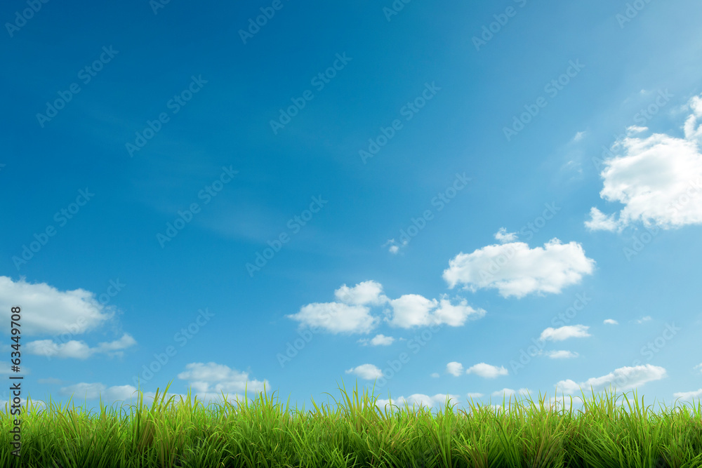 Naklejka premium zielona trawa i błękitne niebo z chmurami