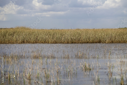 Everglades